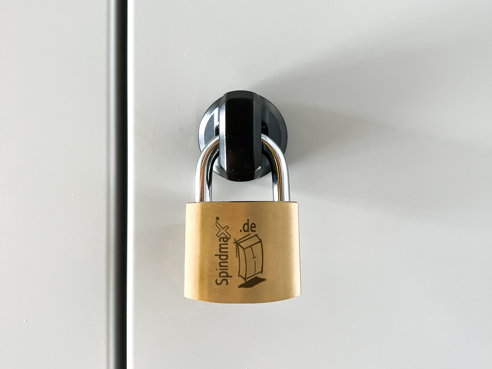 Sicherheitsdrehriegel mit Vorhängeschloss Typ 1